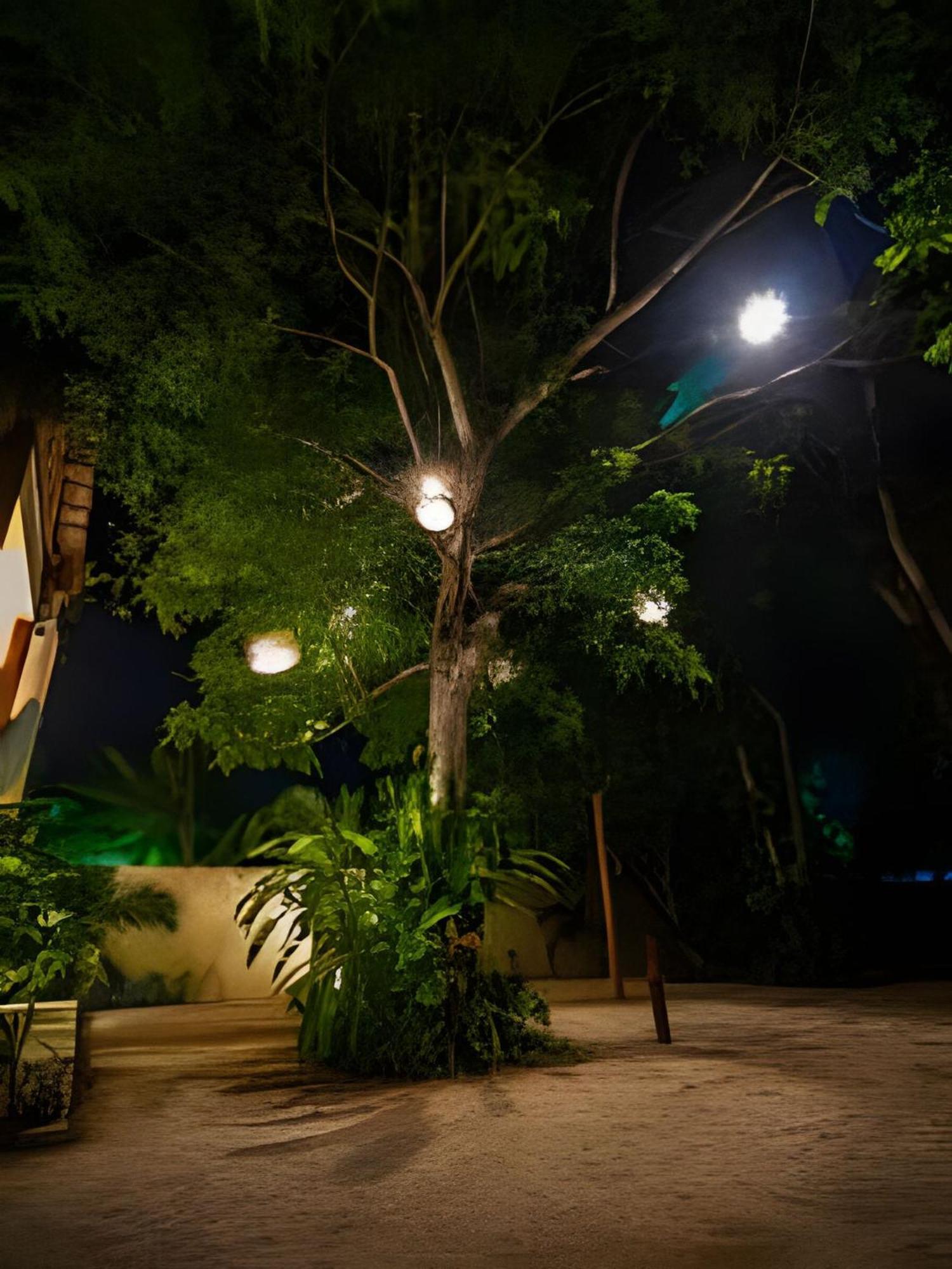 Casa De Piedra - Departamentos Bacalar- Apartman Kültér fotó